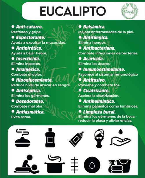 EUCALIPTO 10ml
