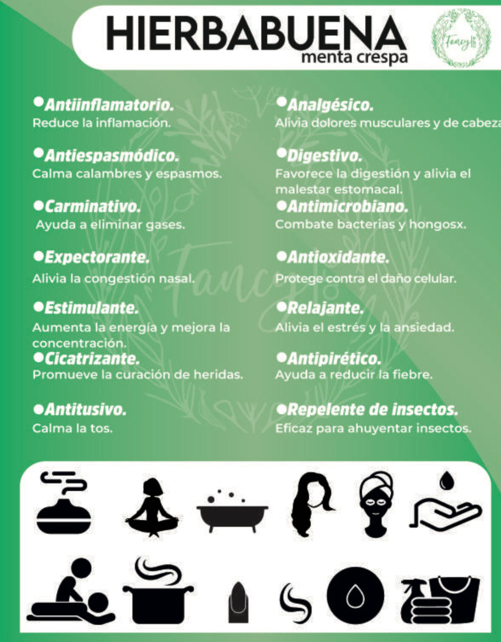 HIERBABUENA 10ml