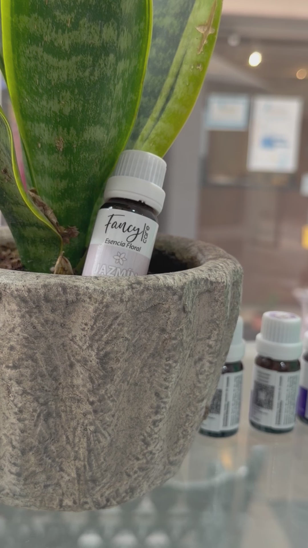 Jazmín 10ml (esencia floral)
